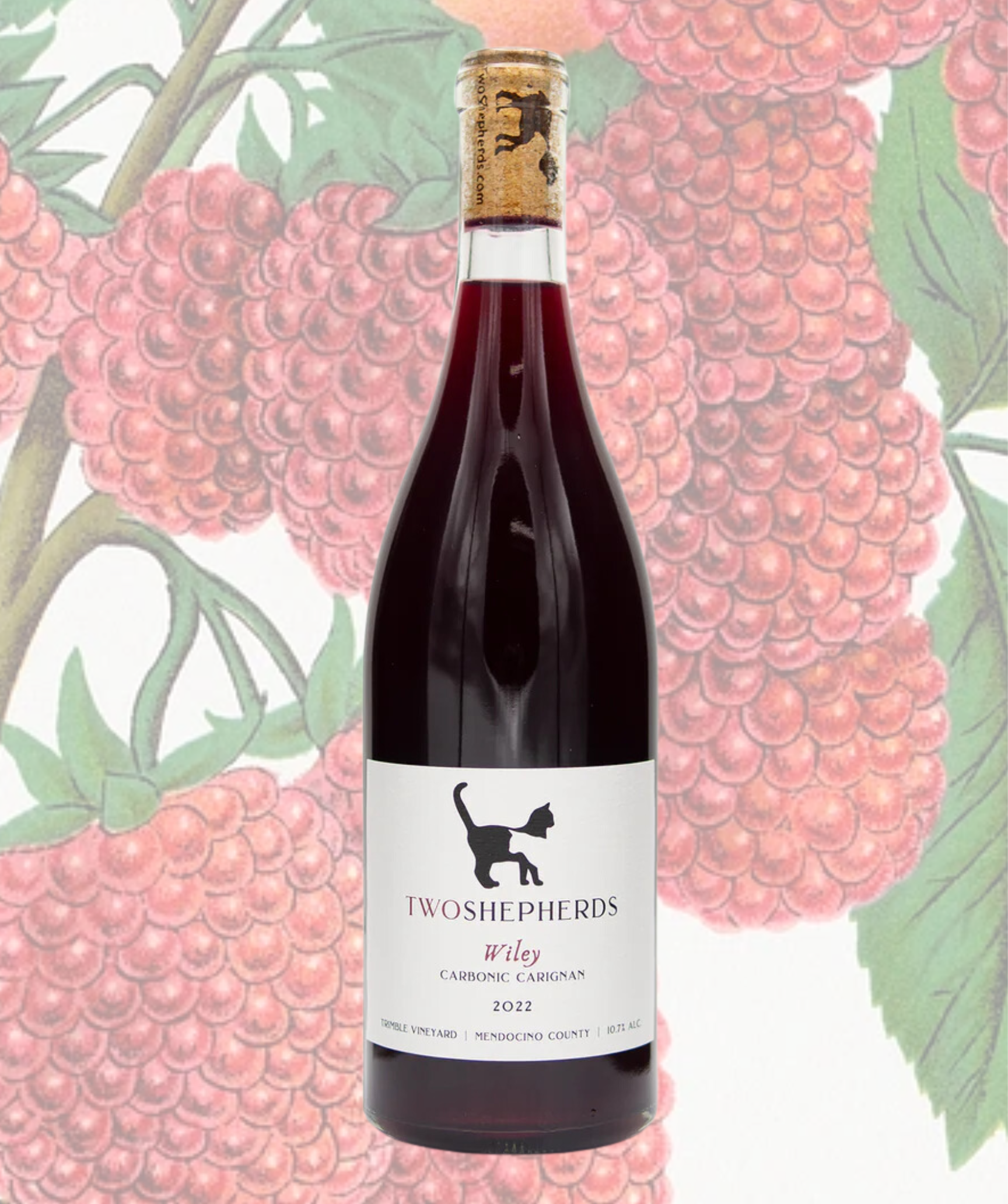 Two Shepherds 2021 L'il Trouble - Glou Glou Wine - California