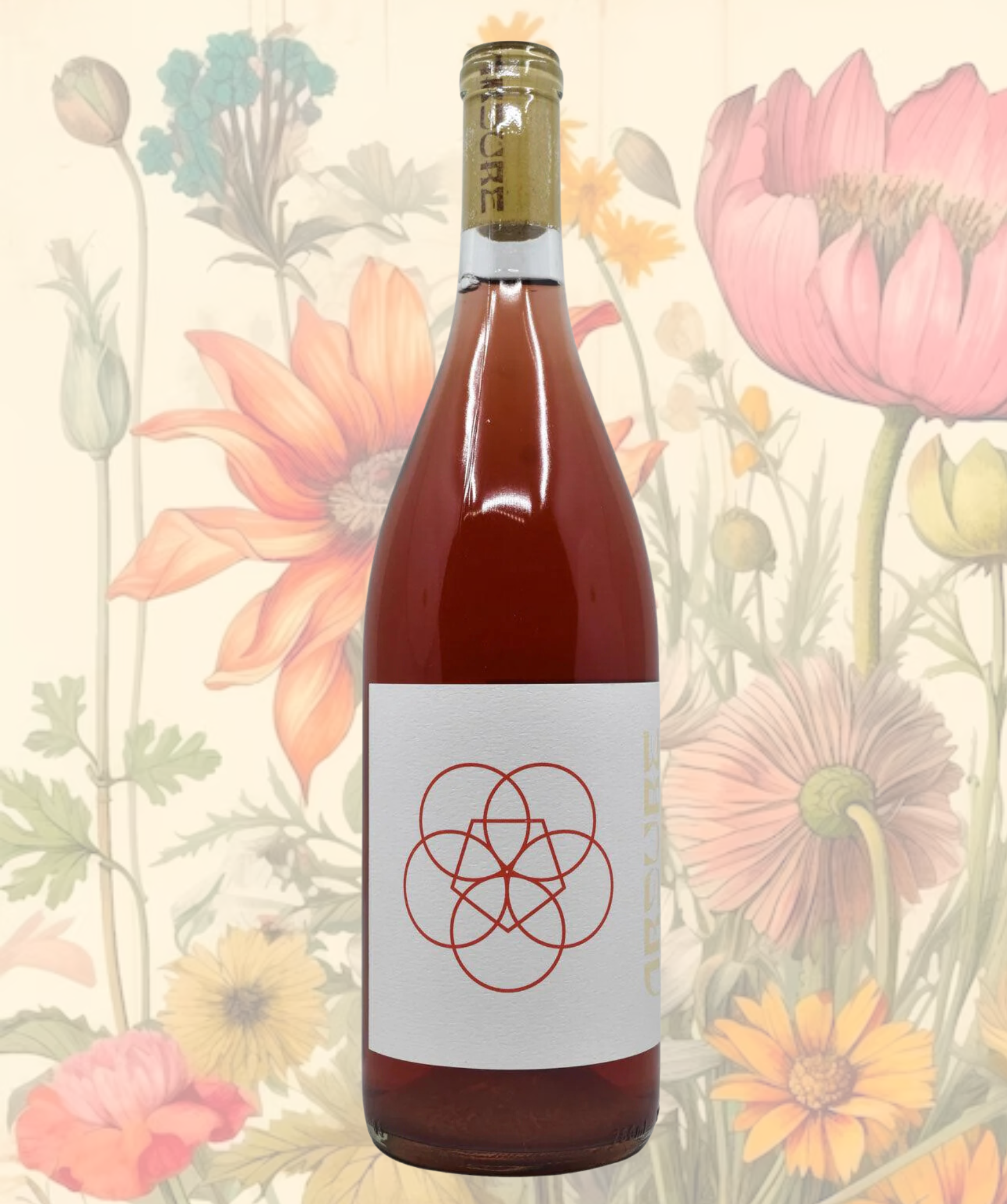Ardure Amphorae Series Cinsault Snows Crossing 2021 – US Natural Wine