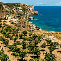 Terra Ambera (7190325133505)