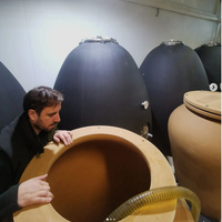 Innocent Dove (7427302260929) (7608119918785)