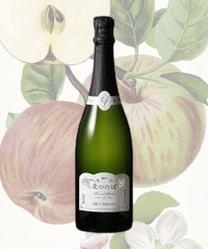 Novo Blanc de Blancs