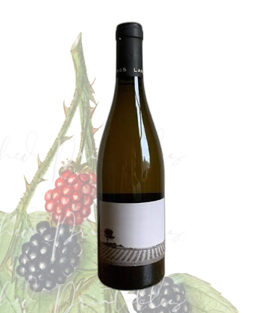 Janseniste Blanc 2023