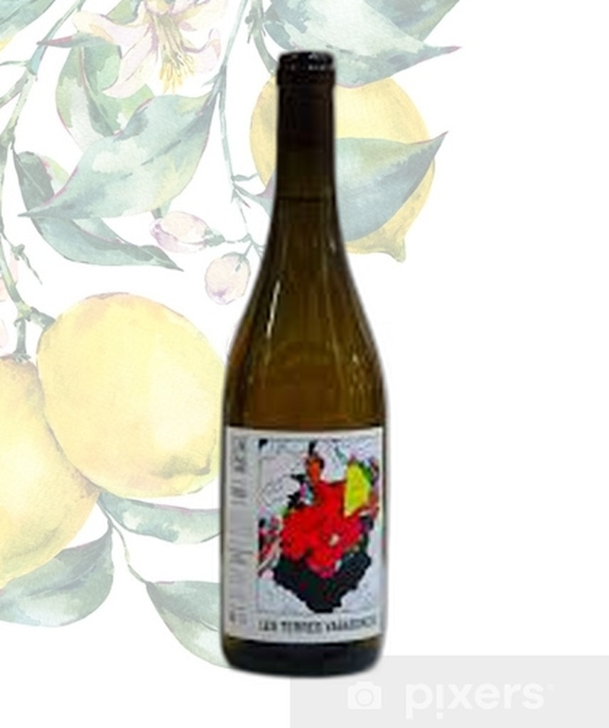 Les Terres Vagabondes VdF Chardonnay 2023