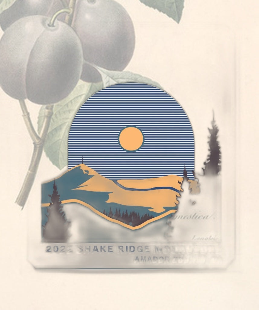 Shake Ridge Mourvedre 2022