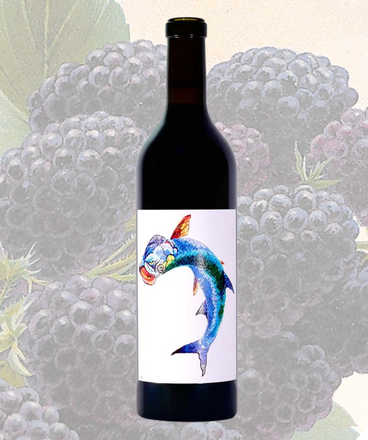 2018 Cabernet Sauvignon (7190320349377)