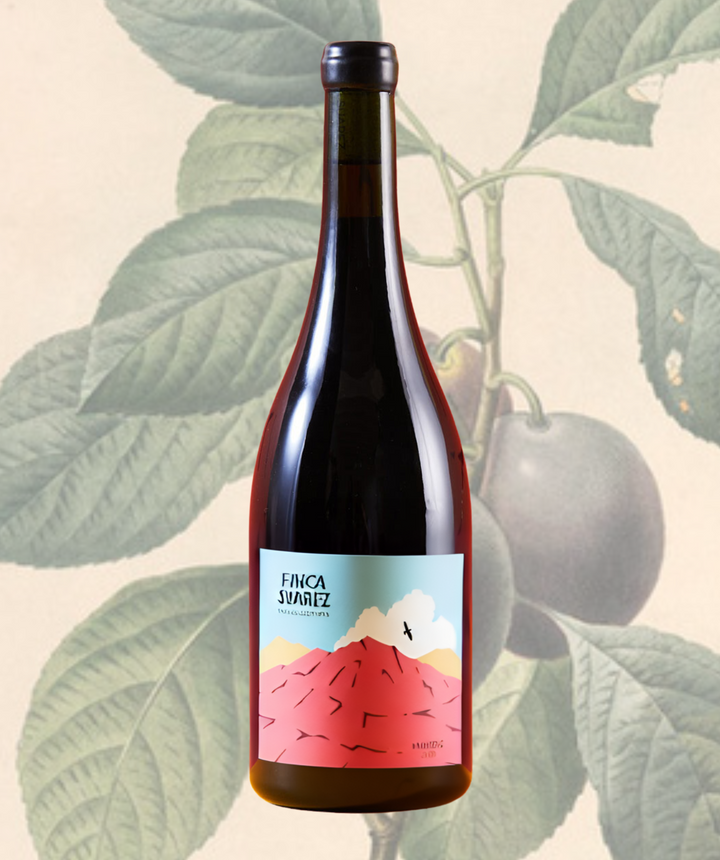 Finca Suarez Malbec (10208880984257)