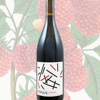 Populis Wabi-sabi Red Blend 2022 (7009864843457)