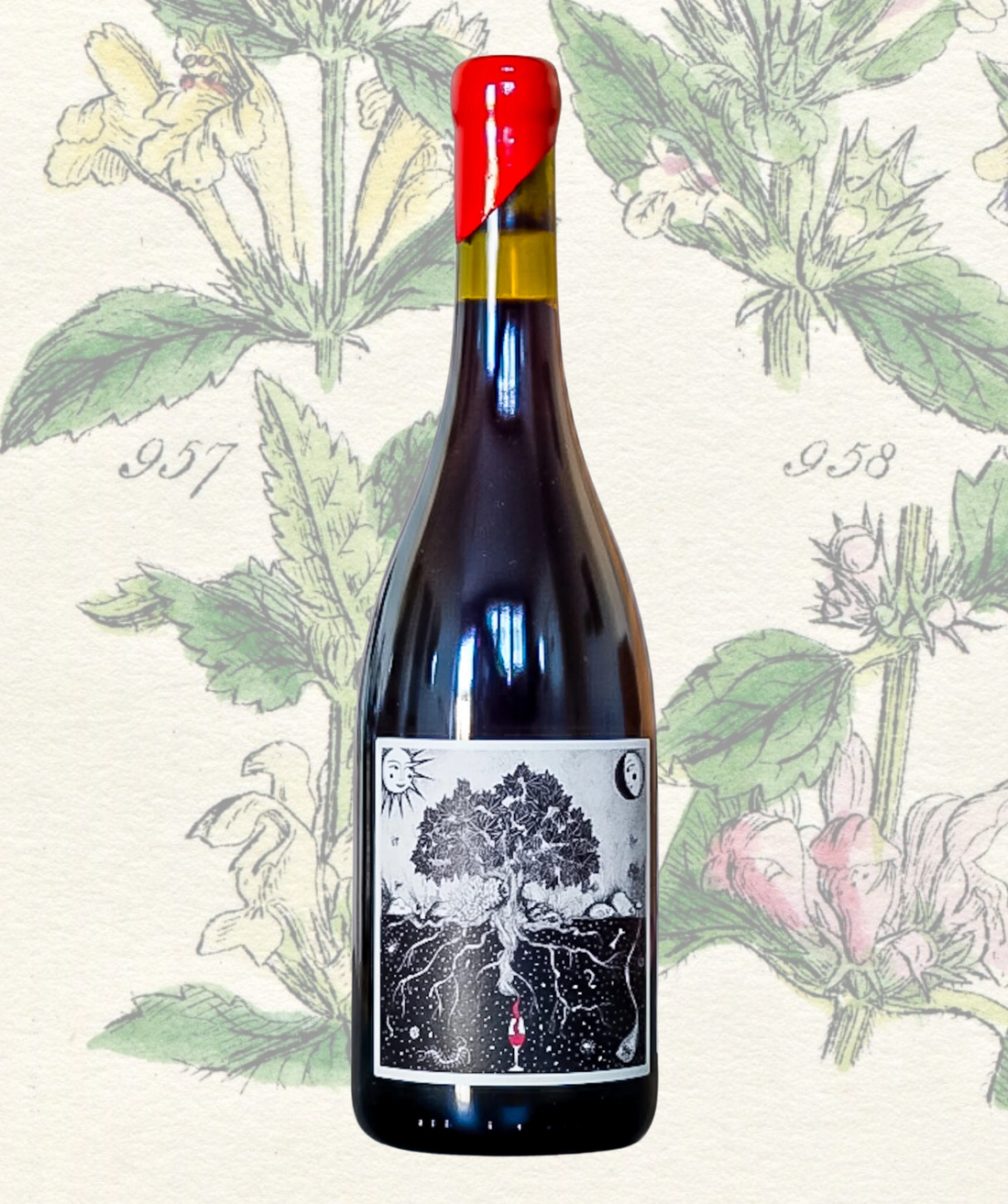 Carignan Radical (10245243601089)