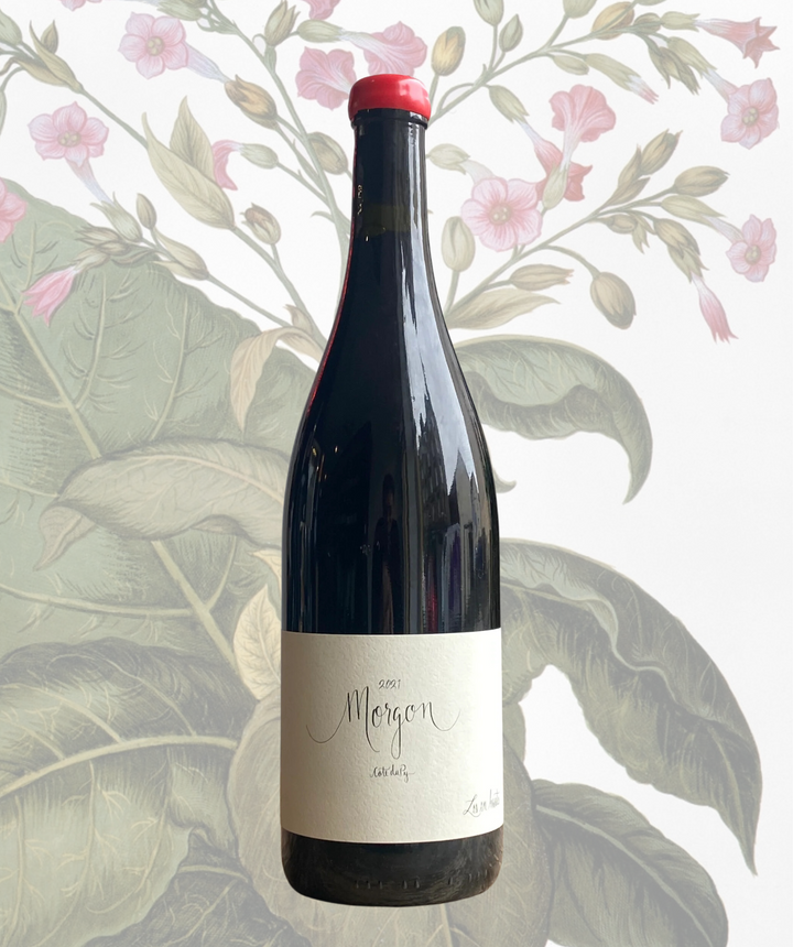 Morgan Cote Du Py 2021 (10662466224321)
