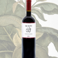 Dar Richi - Hanan 2022