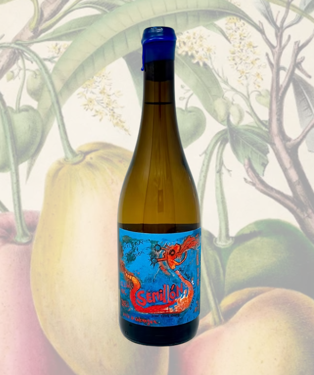 Semillon 2023