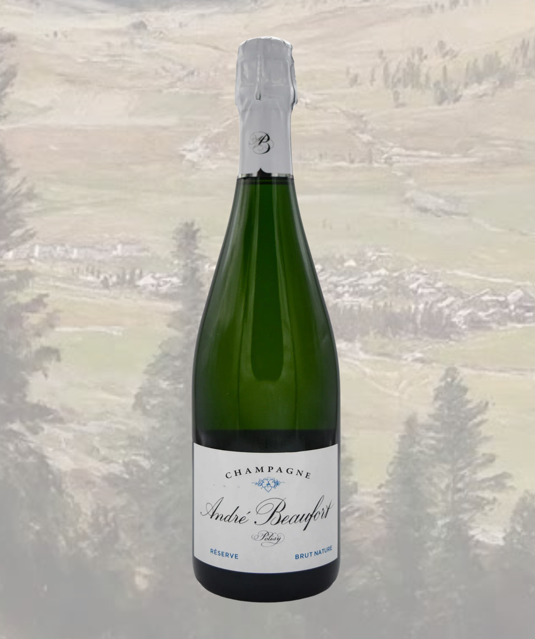 Polisy Brut Reserve NV