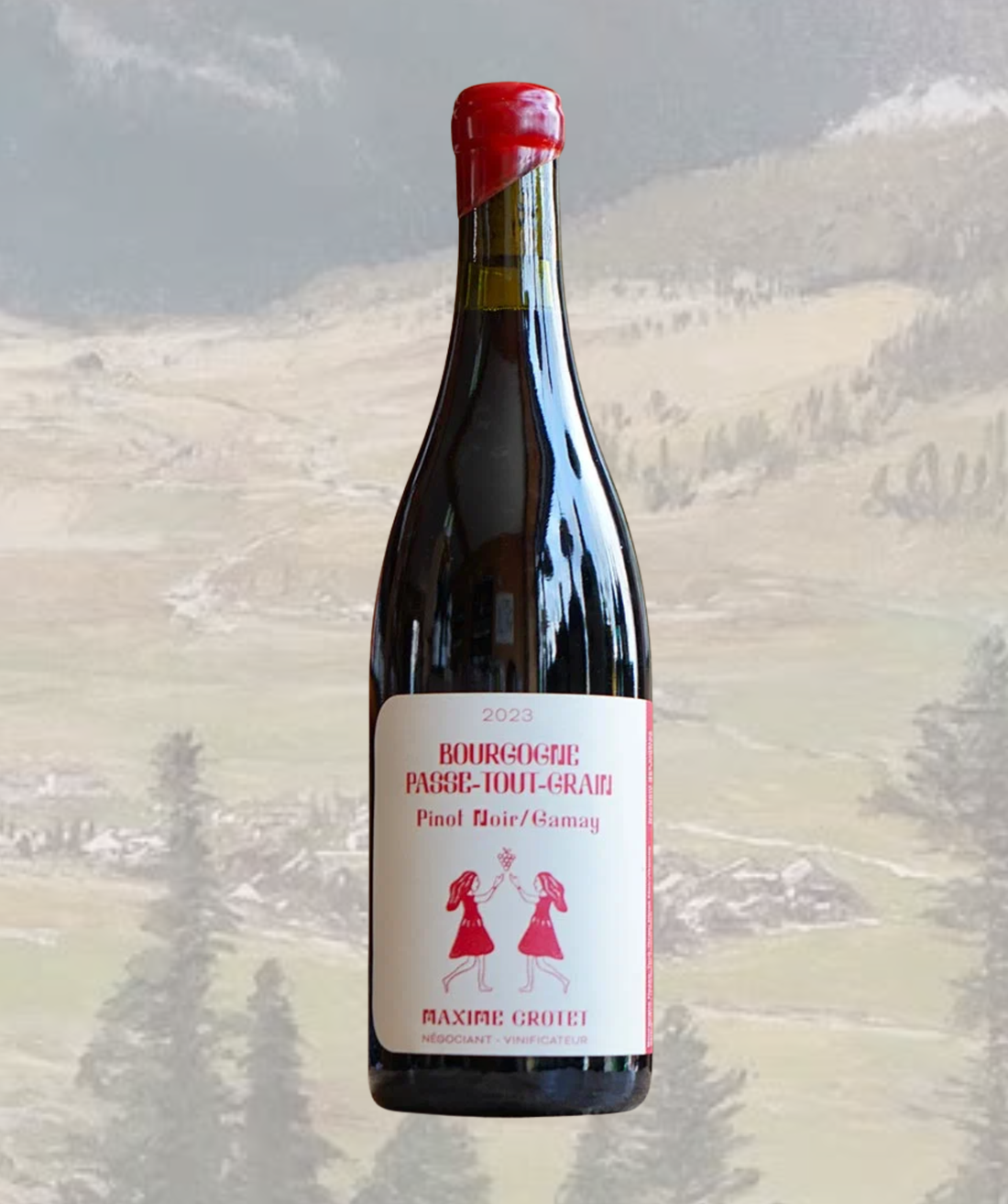 Bourgogne Passe-Tout-Grain 2023