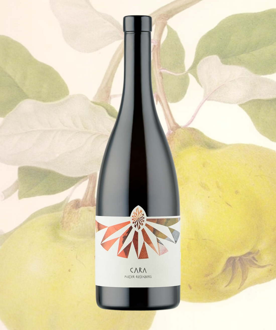 Ploder Rosenberg - Vivas 2019 - Natural Wine Austria – US Natural Wine Ploder Rosenberg - Vivas 2019 - Natural Wine Austria – US Natural Wine