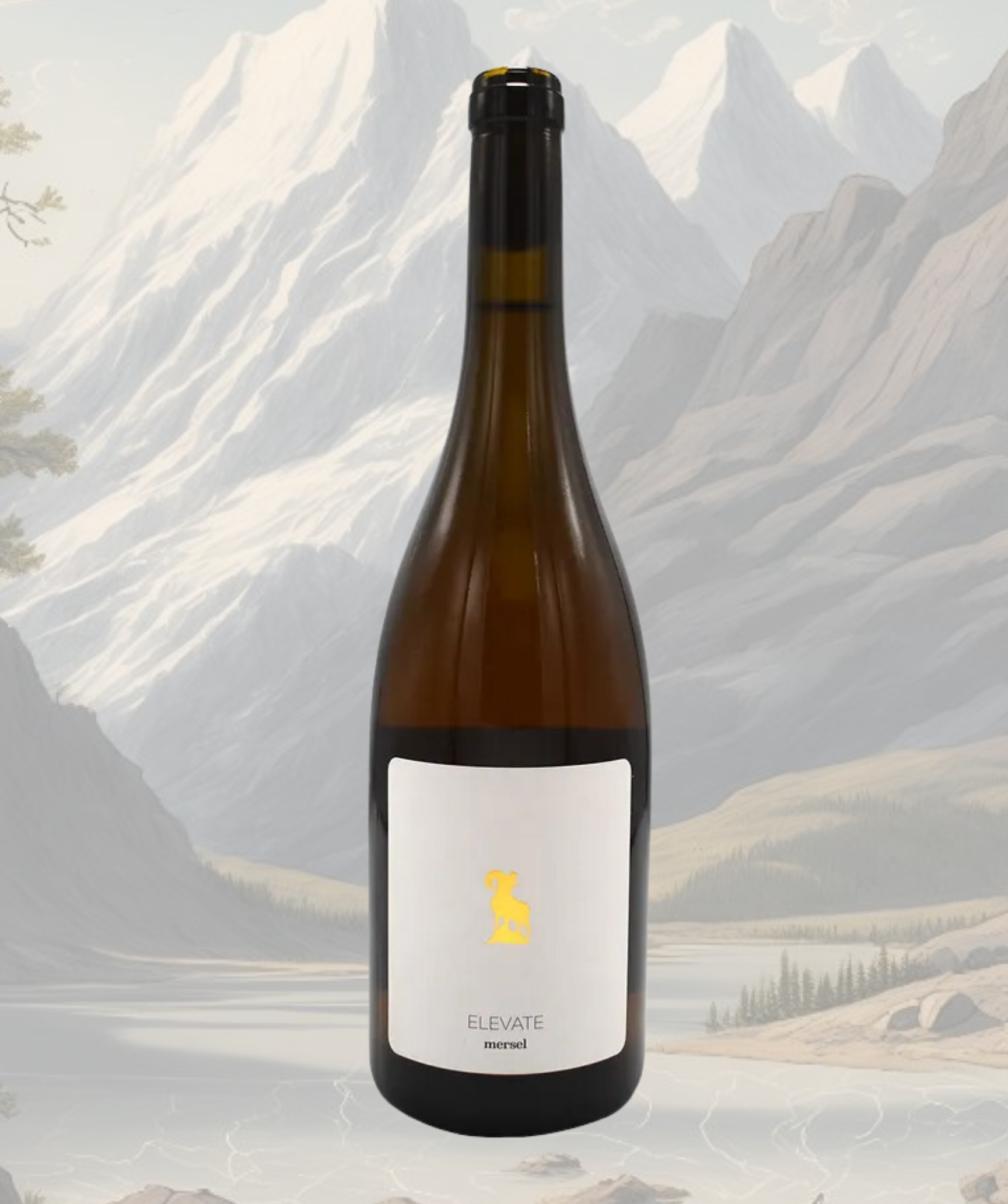 Mersel Elevate Dar al Ahmar - Lebanese Natural Wine - Orange Wine from ...