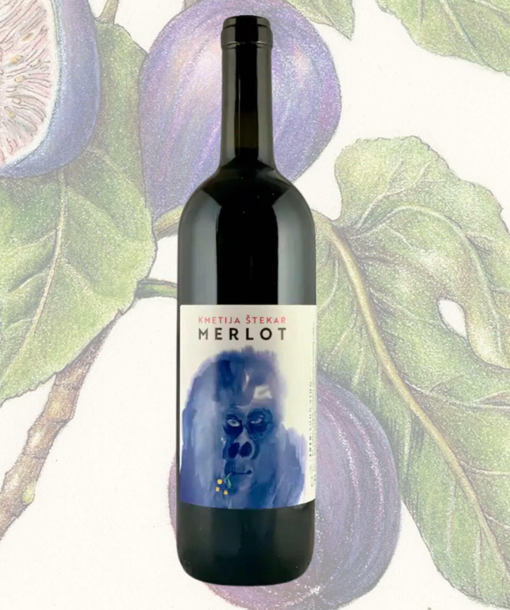Kmetija Stekar - Merlot - Slovenia Natural Wine – US Natural Wine