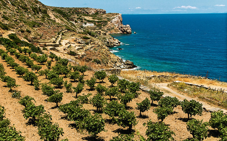 Terra Roza (7190325952705)